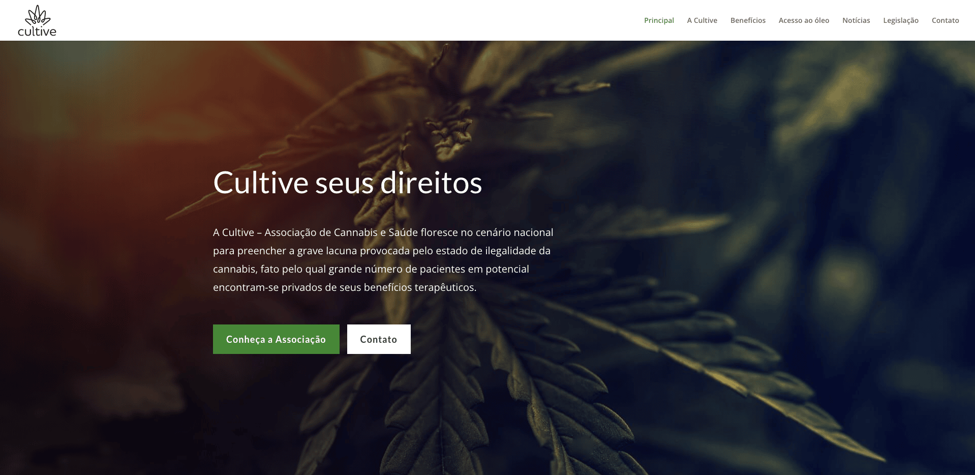 Website Cultive Associação de Cannabis e Saúde